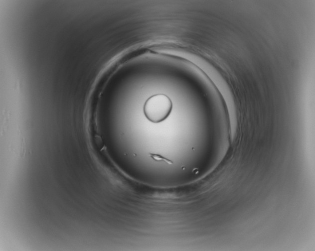 X0000114190440200910091235