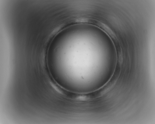 X0000114190441200910091235