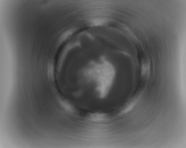 X0000114190444200910091235