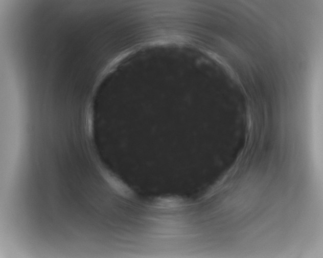 X0000114190446200910091235