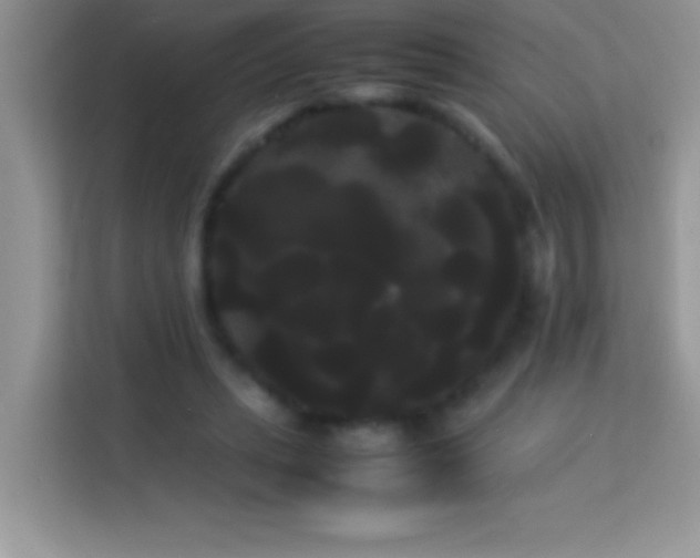 X0000114190447200910091235