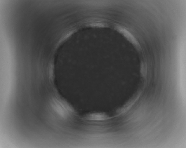 X0000114190449200910091235