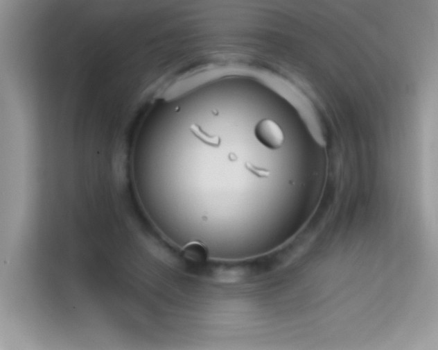 X0000114190450200910091235
