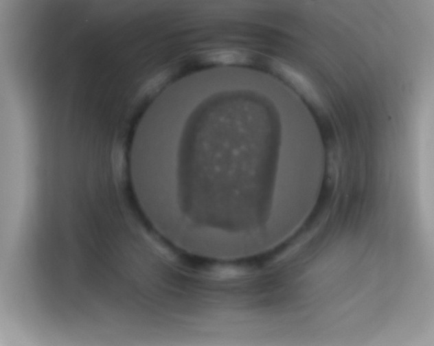 X0000114190453200910091236