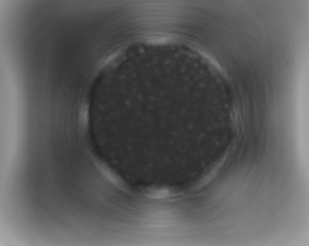 X0000114190454200910091236