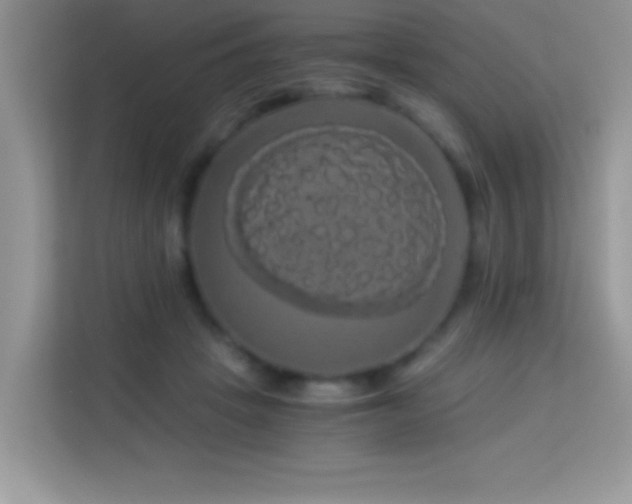 X0000114190457200910091236