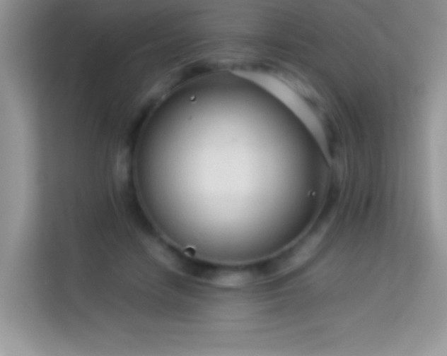 X0000114190458200910091236