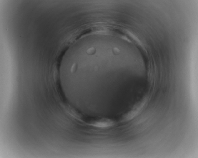 X0000114190459200910091236