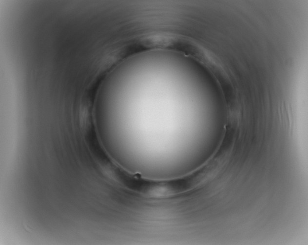 X0000114190460200910091236