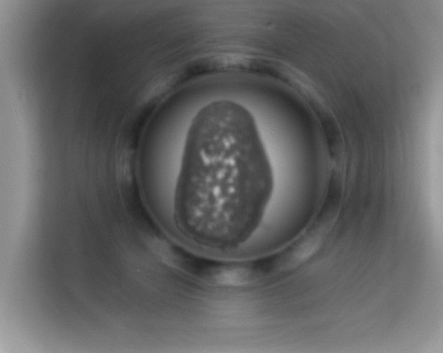 X0000114190462200910091236