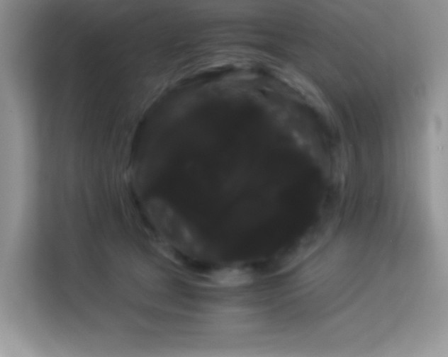 X0000114190465200910091236