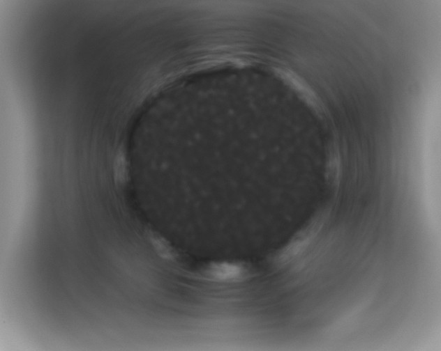X0000114190469200910091236