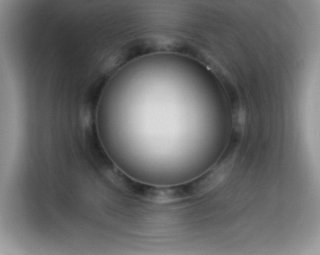 X0000114190472200910091236