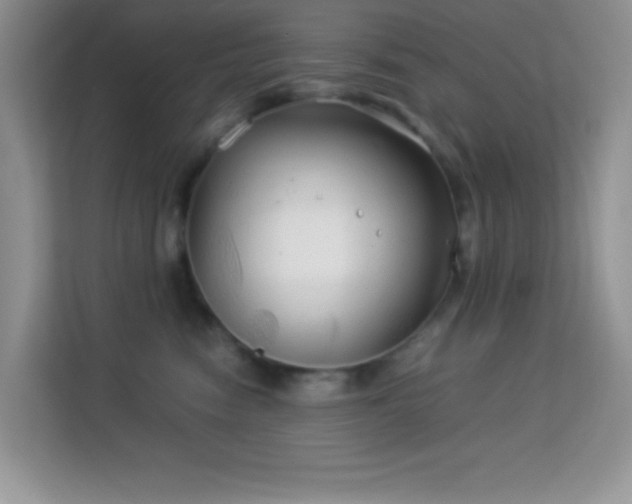 X0000114190474200910091236