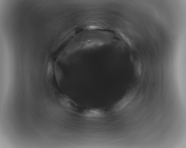 X0000114190475200910091236