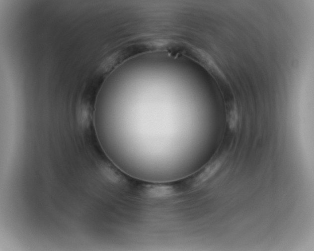 X0000114190476200910091236