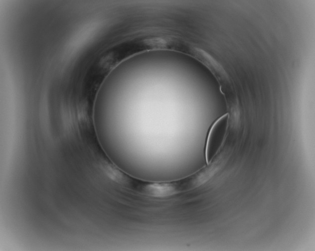 X0000114190477200910091236
