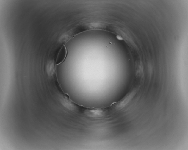 X0000114190478200910091236