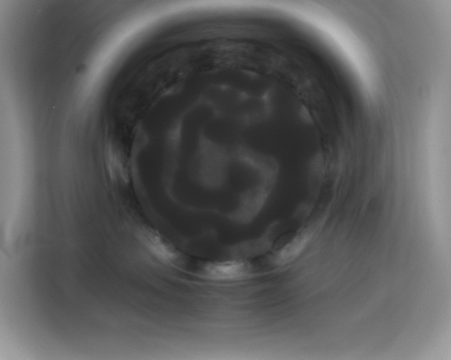 X0000114190479200910091236