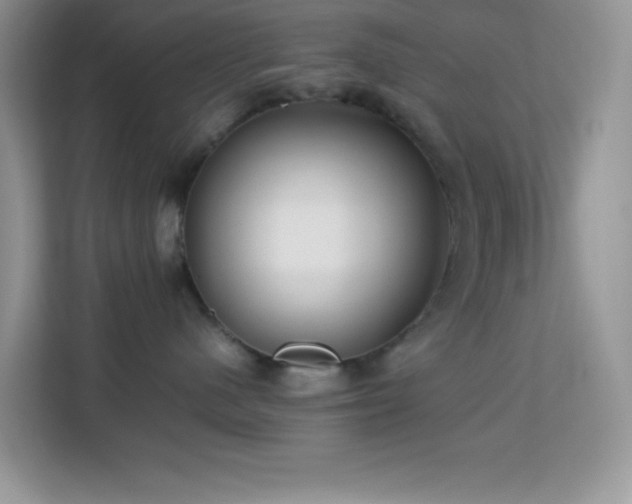 X0000114190480200910091236