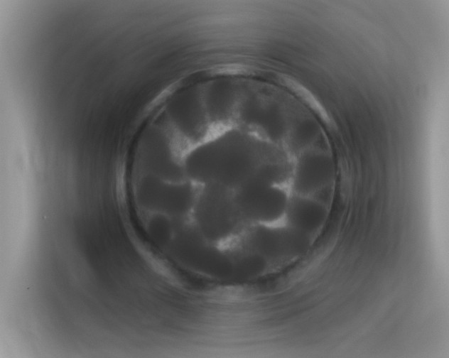 X0000114190482200910091235