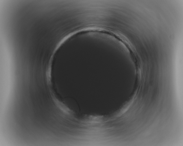 X0000114190484200910091235