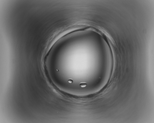 X0000114190485200910091235