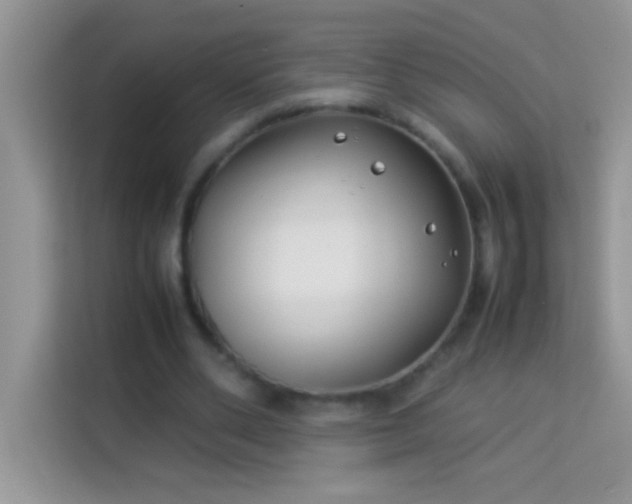 X0000114190486200910091235