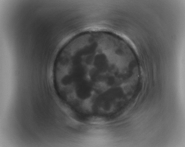 X0000114190487200910091235