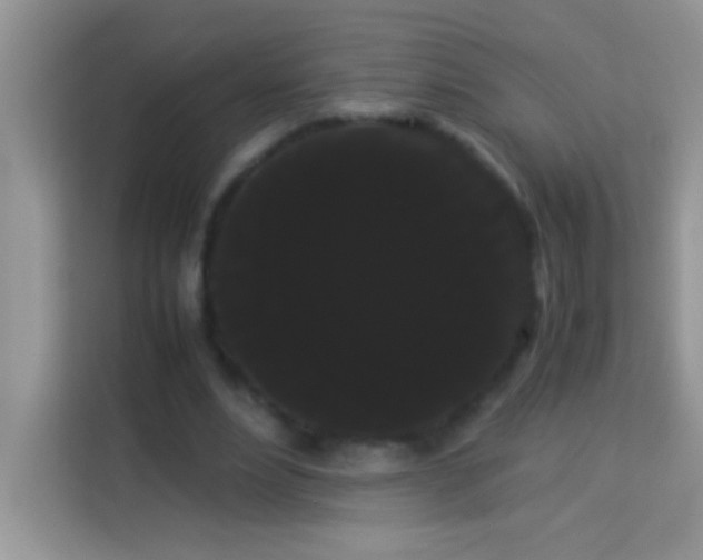 X0000114190488200910091235