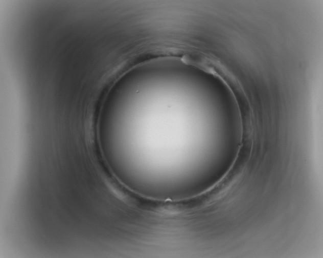 X0000114190489200910091235
