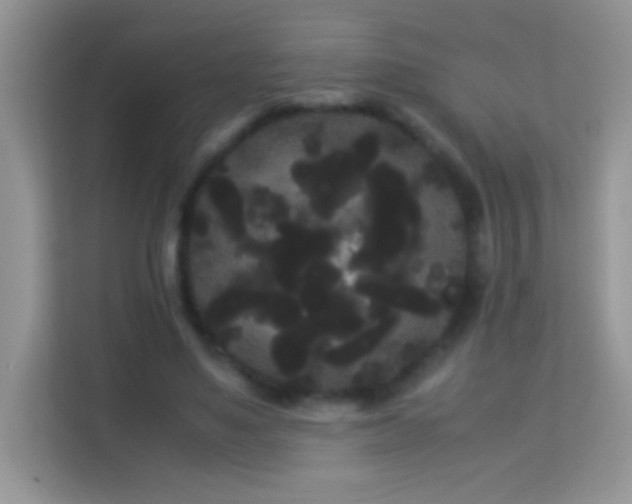 X0000114190491200910091235