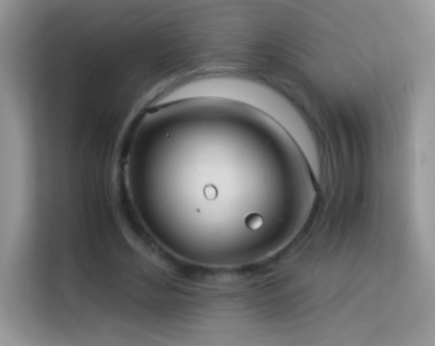 X0000114190492200910091235