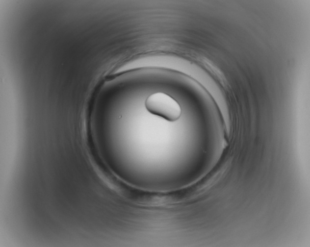 X0000114190493200910091235