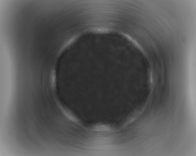 X0000114190494200910091235