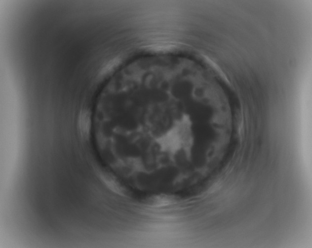 X0000114190495200910091235