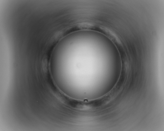 X0000114190498200910091235