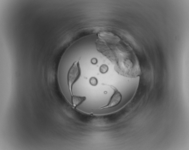 X0000114190499200910091235