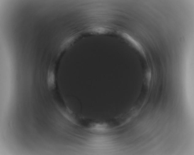 X0000114190500200910091235