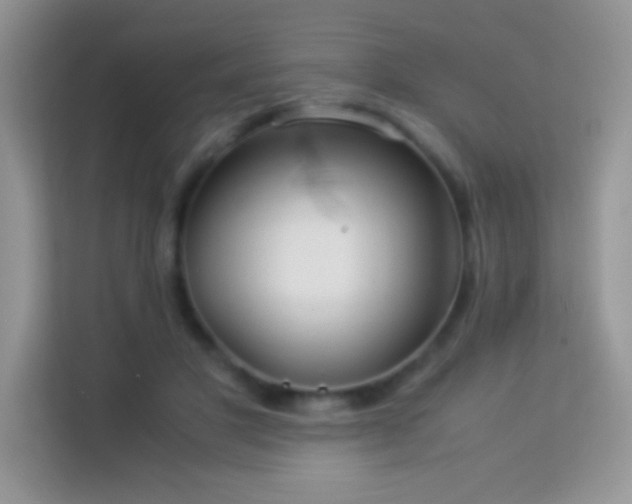 X0000114190501200910091235