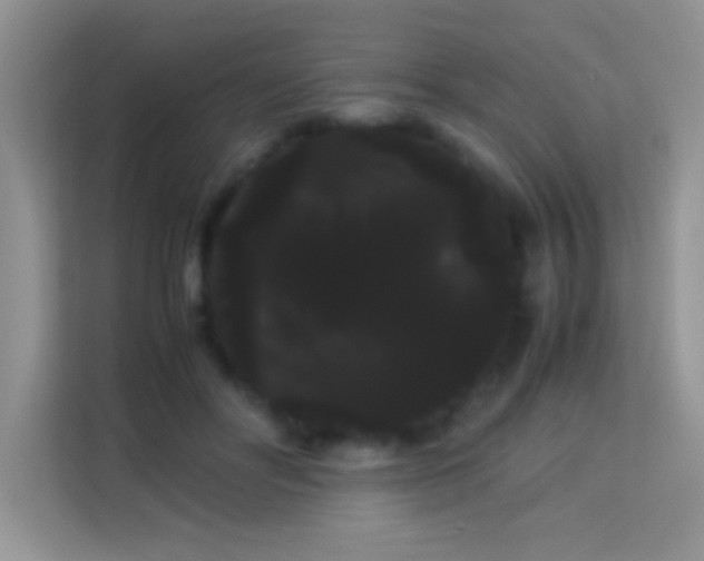 X0000114190502200910091235