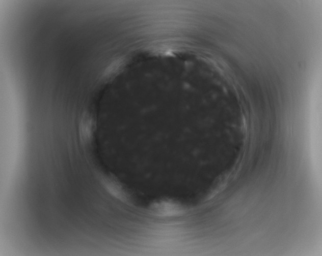 X0000114190503200910091235