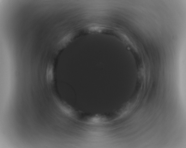 X0000114190504200910091235