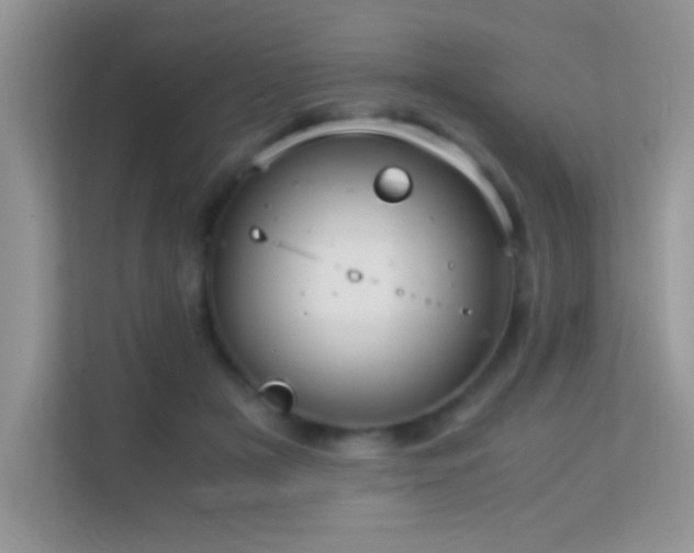X0000114190505200910091235