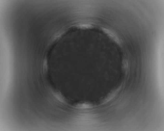 X0000114190506200910091235