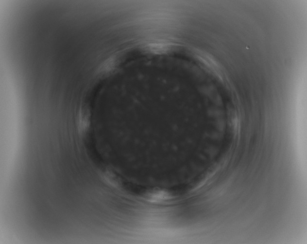 X0000114190507200910091235