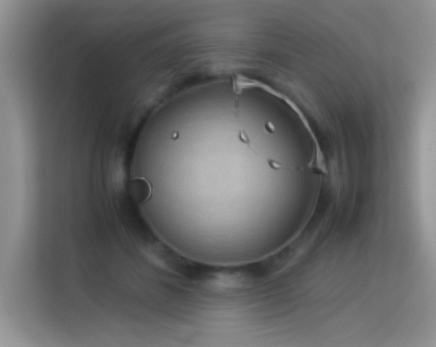 X0000114190508200910091235