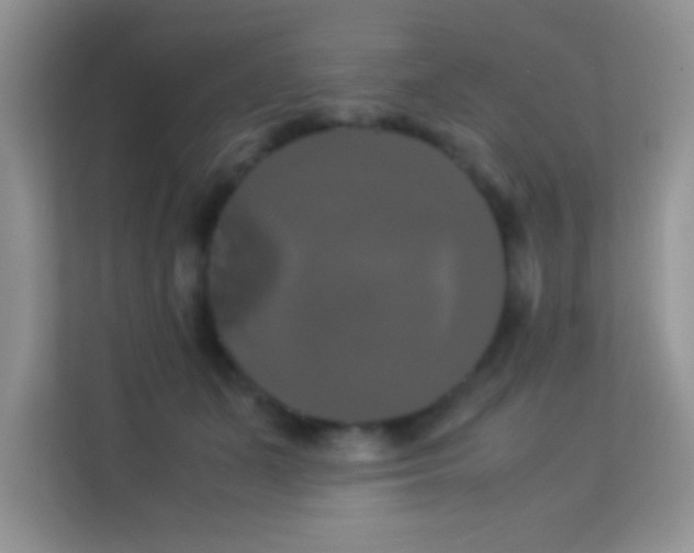 X0000114190511200910091235