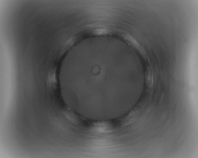 X0000114190516200910091235
