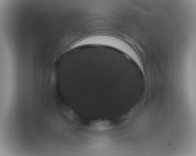 X0000114190517200910091235